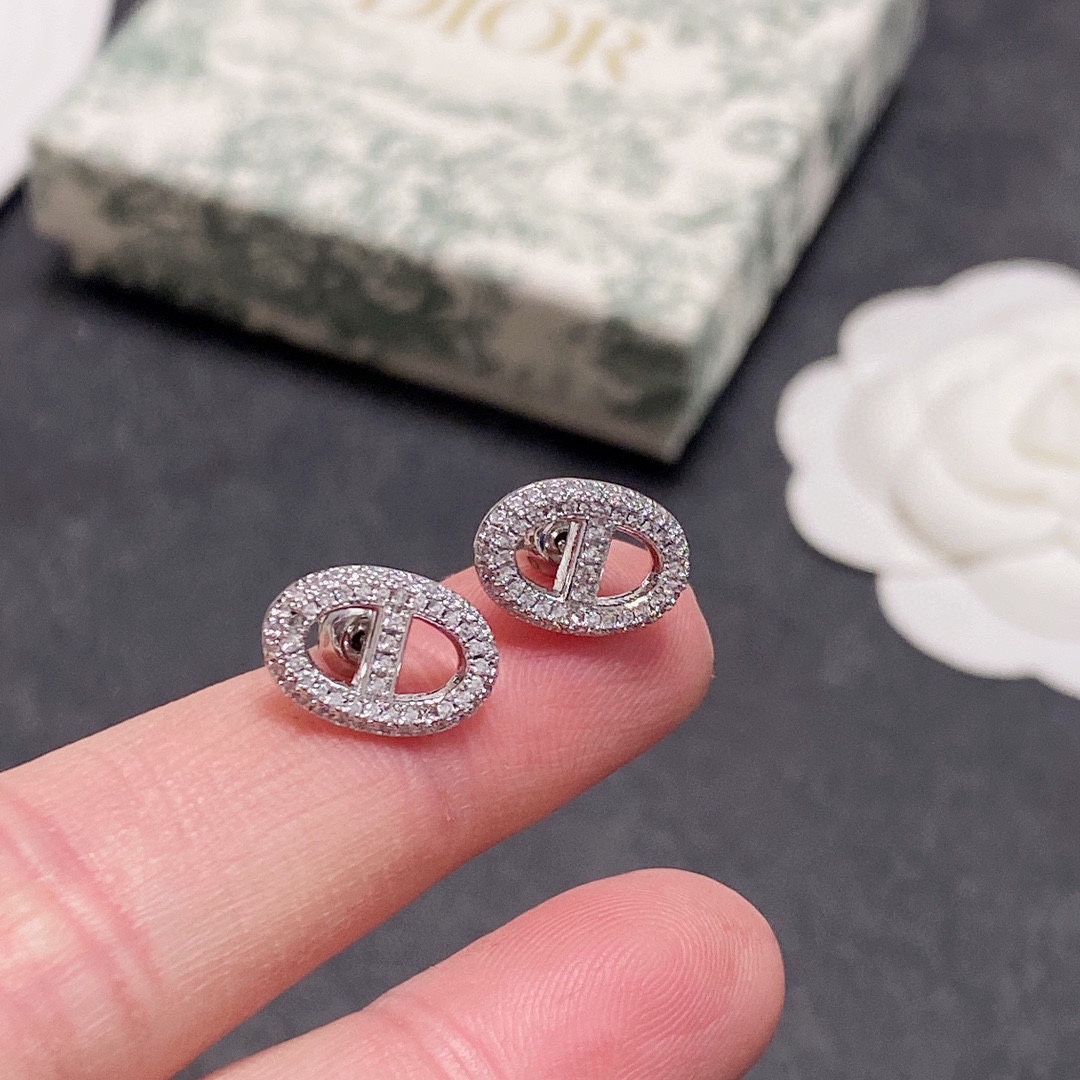 Christian Dior Earrings